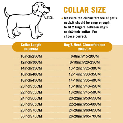 Stainless Chain Collar Large Collar Chain For Metal Dog Dogs Medium Links Link Small Steel Gold Cuban Walking Training